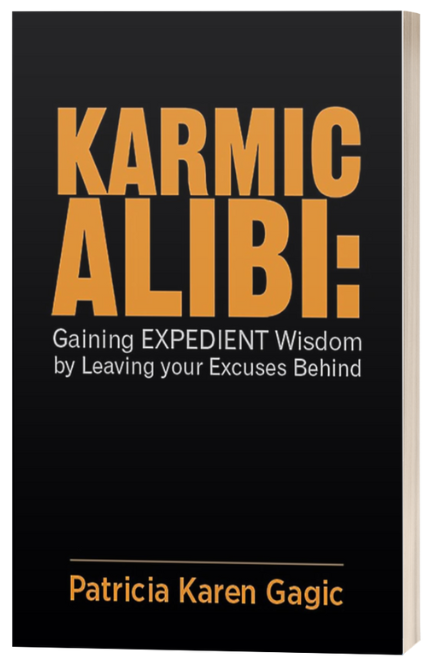 Karmic Alibi Book