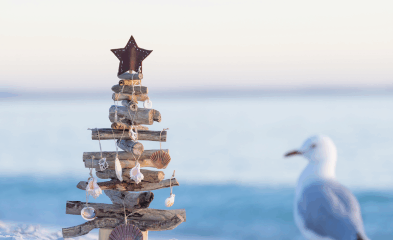Beach Driftwood Christmas Tree with Seagull in Background